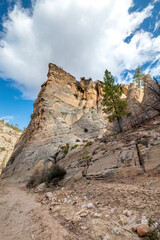 Fototapeta na wymiar Lick Wash, a Canyon in the White Cliffs of the Grand Staircase, Utah