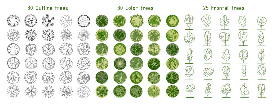 Tree for architectural floor plans. Entourage design. Various trees, bushes, and shrubs, top view for the landscape design plan. Vector illustration.
