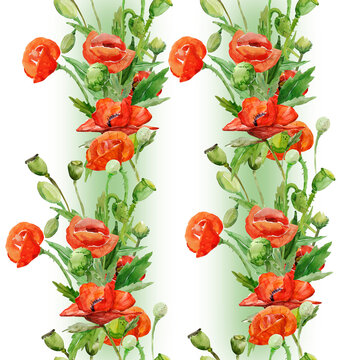 Poppies seamless pattern.Image on white and colored background.Watercolor.