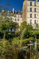 Fototapeta premium Humain situation 334