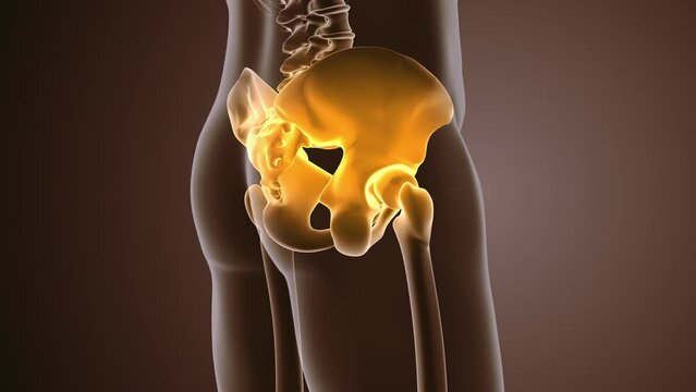 Painful pelvic girdle medical background