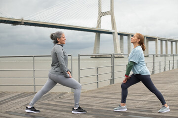 Lively friends exercising on embankment. Women in sportive clothes stretching on cloudy day. Sport, friendship concept