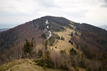 Fototapeta na wymiar Mountain trail. Spring in Carpathian Mountains. Ukraine