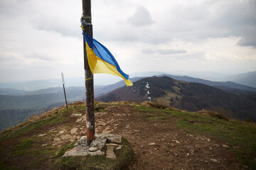 Ukrainian flag in top of mountain. Spring in Carpathian Mountains. Ukraine