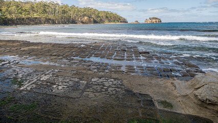 Tessellated Pavement near Eaglehawk Neck, south-east Tasmania. March 2020.