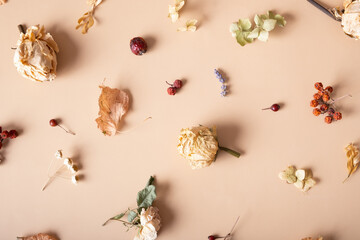 Obraz premium Autumn composition. Pattern made of dried leaves and flowers on pastel beige background. Autumn, fall concept. Flat lay, top view