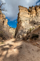 Lick Wash, a Canyon in the White Cliffs of  the Grand Staircase, Utah