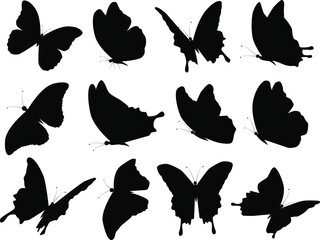 Vector butterfly silhouettes on isolated background. Icon set.