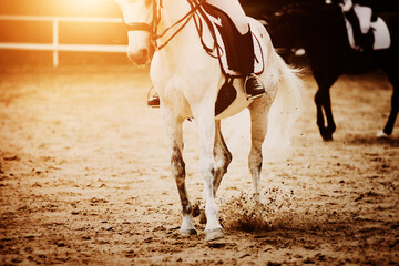 A white horse with a rider in the saddle gallops, kicking up dust with its hooves, illuminated by...