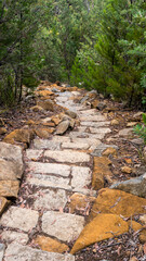 Fototapeta na wymiar tone stairs near Cape Hauy along the Three Capes Track in south-east Tasmania. March 2020