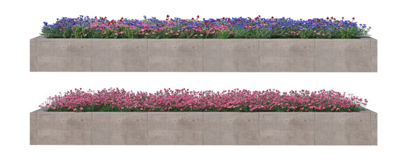 Obraz premium 3d render flower pickup with white background