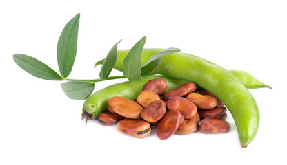 Fresh broad beans in pods with green leaf, isolated on white background. Dry fava beans. - obrazy, fototapety, plakaty