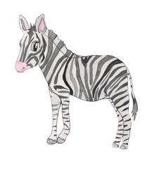 Obraz na płótnie Canvas Safari animal. Hand drawn by watercolor. Zebra. Cartoon style. Cute kids animal. Isolated on white background