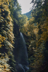 mountain river in autumn