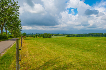 Fototapeta na wymiar Fields and vegetables in a green hilly grassy landscape under a blue sky in sunlight in spring, Voeren, Limburg, Belgium, June, 2022