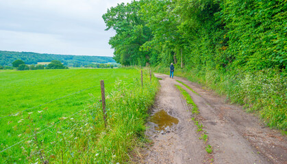 Fototapeta na wymiar Fields and trees in a green hilly grassy landscape under a blue sky in sunlight in spring, Voeren, Limburg, Belgium, June, 2022 