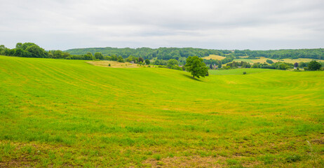 Fototapeta na wymiar Fields and trees in a green hilly grassy landscape under a blue sky in sunlight in spring, Voeren, Limburg, Belgium, June, 2022 