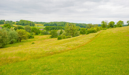 Fields and trees in a green hilly grassy landscape under a blue sky in sunlight in spring, Voeren, Limburg, Belgium, June, 2022
