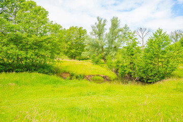 Fields and trees in a green hilly grassy landscape under a blue sky in sunlight in spring, Voeren, Limburg, Belgium, June, 2022
