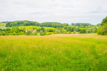 Fields and trees in a green hilly grassy landscape under a blue sky in sunlight in spring, Voeren, Limburg, Belgium, June, 2022
