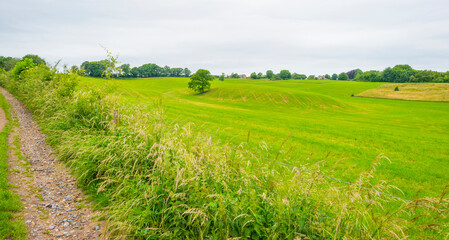 Fields and trees in a green hilly grassy landscape under a blue sky in sunlight in spring, Voeren, Limburg, Belgium, June, 2022
