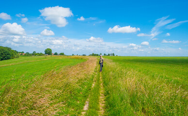 Fields and trees in a green hilly grassy landscape under a blue sky in sunlight in spring, Voeren, Limburg, Belgium, June, 2022