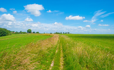 Fototapeta na wymiar Fields and trees in a green hilly grassy landscape under a blue sky in sunlight in spring, Voeren, Limburg, Belgium, June, 2022
