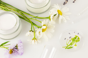 Obraz na płótnie Canvas Concept of wild-harvested beauty and natural cosmetics based on a wild plant. Two glass jars with organic creams, wild flowers, beakers and glass sticks on a white table. Soft focus style