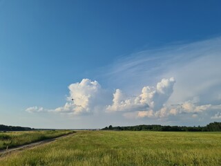 clouds over the field