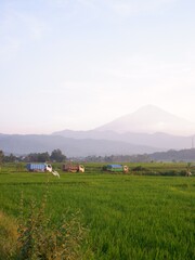 landscape in the morning
