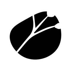 white floral element