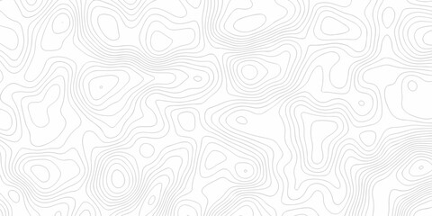 Topographic background and texture, monochrome image. 3D waves. Cartography Background, White wave paper curved reliefs abstract background
