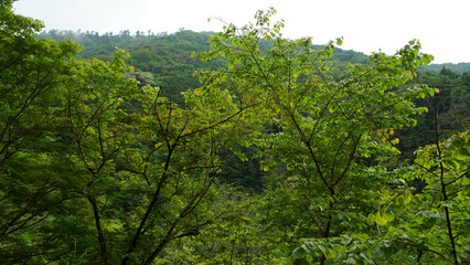 箱根湯本駅 風景
