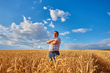 Naklejka na ściany i meble Happy farmer proudly standing in wheat field. Agronomist wearing corporate uniform, looking at camera on farmland.