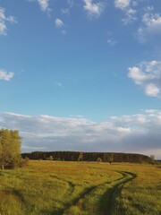Naklejka premium Nature over