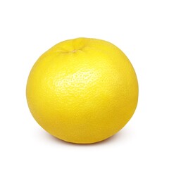 グレープフルーツ イラスト リアル