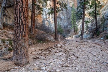 Lick Wash, a Canyon in the White Cliffs of  the Grand Staircase, Utah