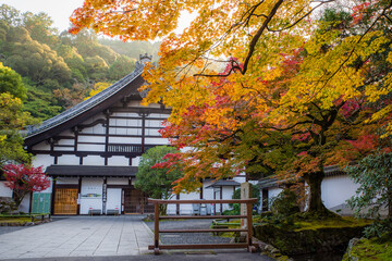京都南禅寺周辺の紅葉
