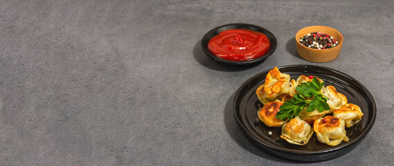 Deep-fried dumplings with tomato sauce and pepper mix. Vegan food, modern hard light, dark shadow