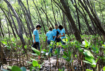 Happiness small group of people collecting garbage in the mangrove forest and beach.