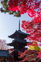 京都真如堂の紅葉