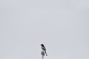 person standing in front of a mirror