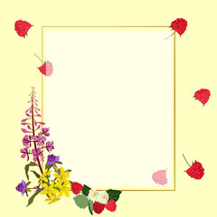 Vector horizontal wildflowers, raspberries and herbs.