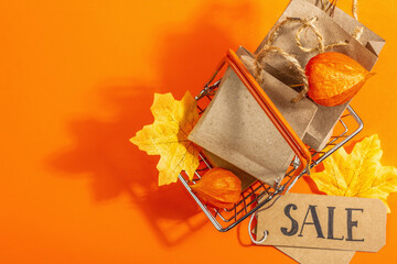 Black Friday Sale concept. Shopping basket, handmade tags, paper bags, fall maple leaves