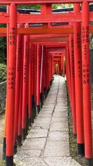Fototapeta na wymiar The passage of thousand tori at Japanese honorable shrine built by the 5th shogunate of Edo period, “Tokugawa”, the “Nezu Jinjya” with its vibrant scenery following the tradition