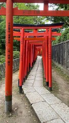 The passage of thousand tori at Japanese honorable shrine built by the 5th shogunate of Edo period, “Tokugawa”, the “Nezu Jinjya” with its vibrant scenery following the tradition