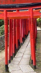 The passage of thousand tori at Japanese honorable shrine built by the 5th shogunate of Edo period, “Tokugawa”, the “Nezu Jinjya” with its vibrant scenery following the tradition