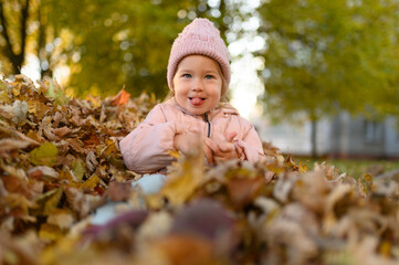 A little girl plays in a pile of autumn foliage. A little girl plays in a pile of autumn foliage. girl shows tongue.