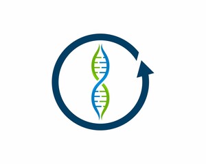 DNA Helix inside the arrow rotation logo