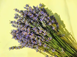 Fragrant lavender purple bouquet lies on yellow surface